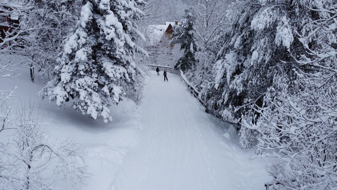 Ski-in/ski-out trail through the resort