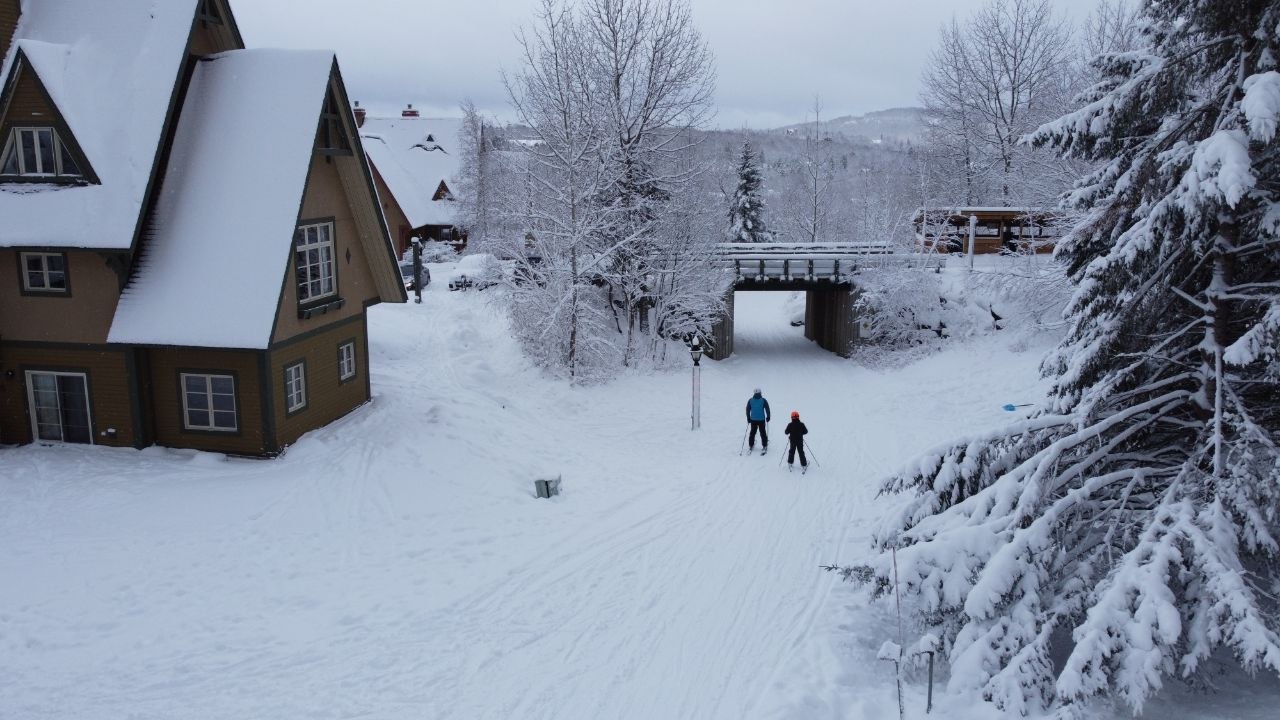 Ski trail just 10 feet from the property