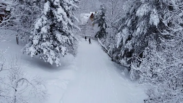 Ski-in/ski-out trail through the resort